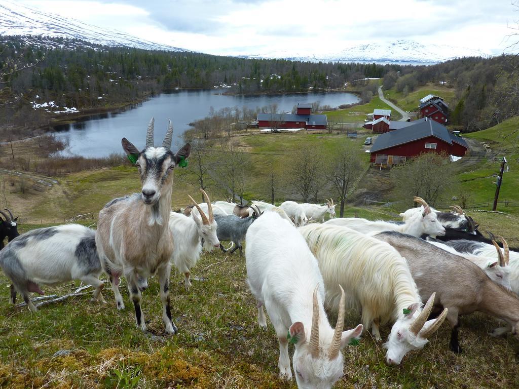 Saeterstad Gard Varntresk ภายนอก รูปภาพ